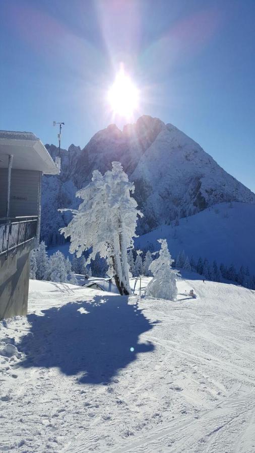 Gaestehaus Walpurga รุสบาค อัม พาสเกอชุตต์ ภายนอก รูปภาพ