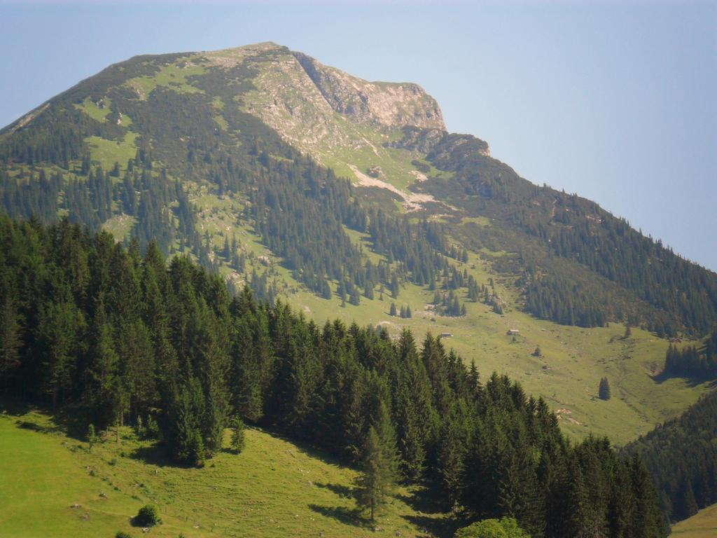 Gaestehaus Walpurga รุสบาค อัม พาสเกอชุตต์ ภายนอก รูปภาพ